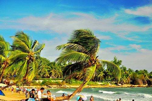 郑红：全力推进海南全民科学素质提升