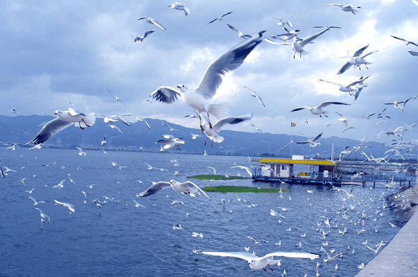 云南省生态环境厅：2018年开出3.38亿元“环保罚单”