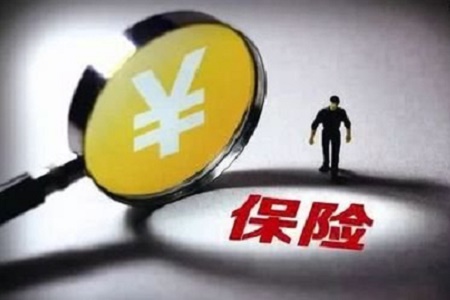 成都衡信业保险代理公司虚报材料被处罚