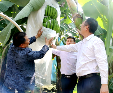 绿色的希望&mdash;&ldquo;关注土壤健康，发展绿色农业&rdquo;系列报道之一