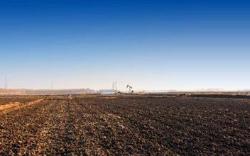 聚焦东北黑土地：数量减少质量下降 保护刻不容缓