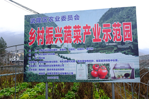 中菜&ldquo;美好生活馆&rdquo;武隆站即将发车！