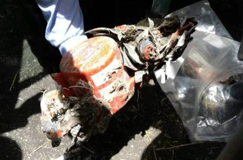 埃航失事客机黑匣子被送抵法国进行分析