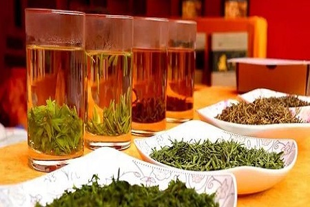 &ldquo;世界（中国）早茶之都&rdquo;称号的四川宜宾，新茶飘香了