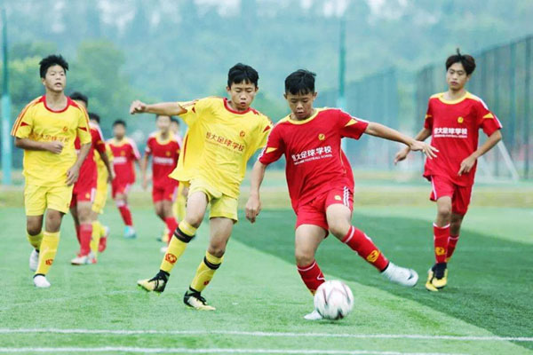 广东省河南商会接连竖起两大知名体育品牌