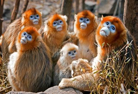 江苏如皋牵手陕西洋县“交换春天”网络文化活动圆满成功，探访朱鹮之乡，相约花海洋县”