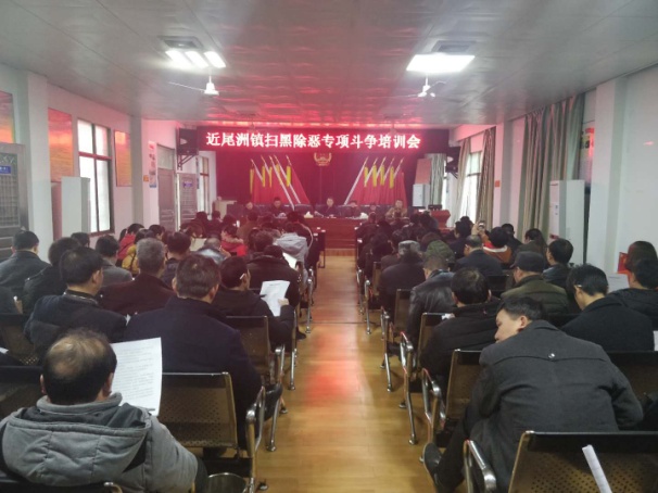 衡南县近尾洲镇深入推进“扫黑除恶专项斗争”工作