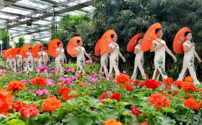 弘扬中华旗袍文化——中国旗袍文化研究会唐紫祺会长携各省分会走进河北邢台参加千人旗袍秀活动