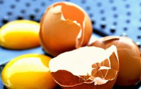 鸡蛋价格连涨五周 “火箭蛋”卷土重来了？