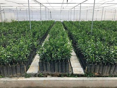 广西日报：大数据擦亮广西农业“新名片”