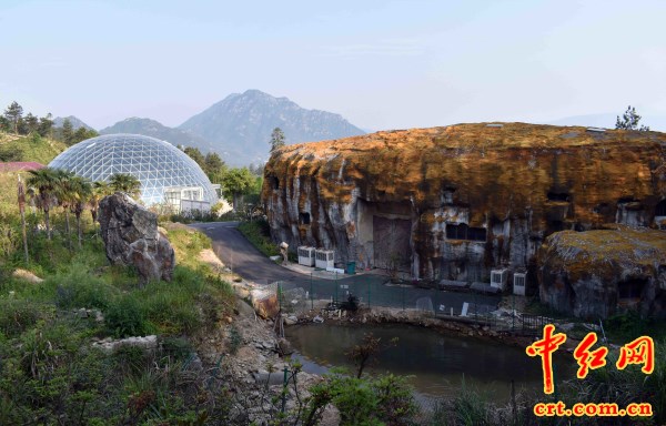 看储德翰怎样把映山红这一革命之花变成扶贫之花