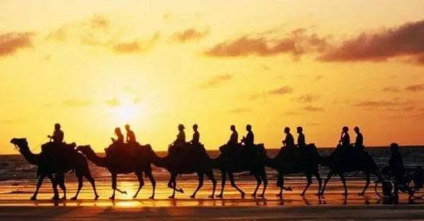 迈向全球化 合作天地宽——河北企业全方位参与“一带一路”建设纪实