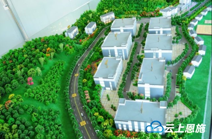 缬草加工项目落户湖北宣恩，深度开发应用市场潜力巨大