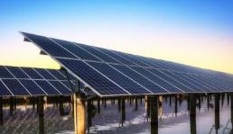 史上最市场化新政出炉 风电光伏步入竞价时代