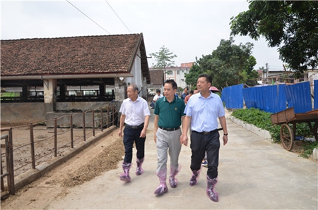 广西壮族自治区农业农村厅领导到广西水牛研究所、广西畜禽品种改良站调研指导工作