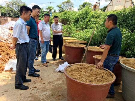 推广农作物秸秆“五化”新举措   促进生态循环农业大发展