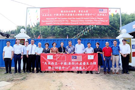 广西：不断创新“走出去”与“引进来”相结合的平台和模式