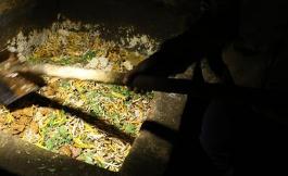 “直接用餐厨废弃物饲喂生猪”拟立罚则