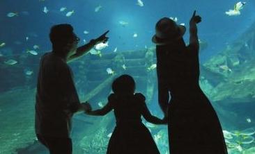 避暑旺季来临 出行目的地“新风向” 亲子游预订量激增