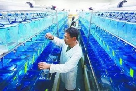 青岛五项举措促蓝色药库成果落地 设立50亿元基金 最高资助达3000万元