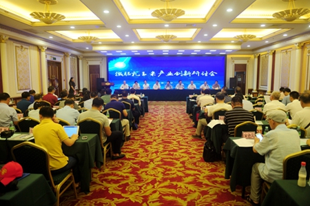 广西“双高玉米”进一步产业化  助力广西农业高质量发展