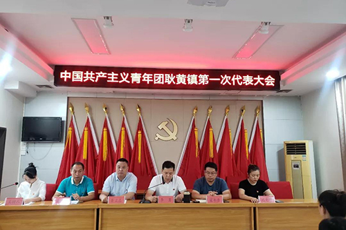 新乡凤泉区耿黄镇共青团第一次代表大会顺利召开