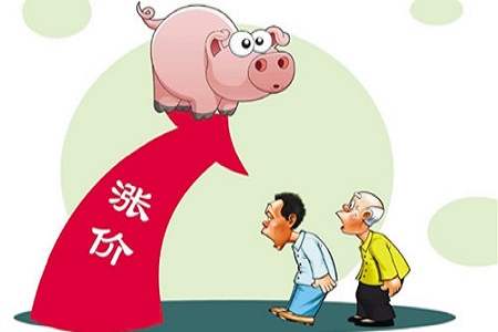 猪肉价格站上2013年来的高峰 专家：未来可能还要涨