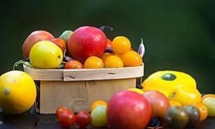 “一路狂奔”后 生鲜电商面临发展瓶颈