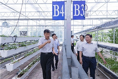 新乡市市长王登喜到新疆心连心调研