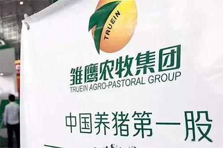 雏鹰农牧退市几乎成为定局？侯建芳这么说