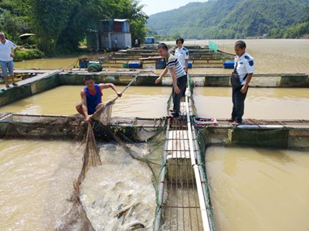 梧州确保产地水产品质量安全 从源头上抓好食品安全工作