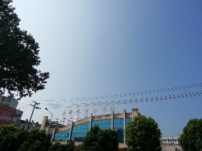 永新长运：围绕服务质量年 力促新发展