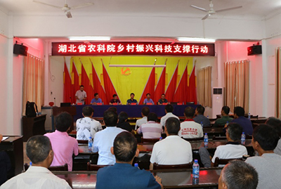 送科技 送销路 送鸭苗 湖北神丹公司助力乡村振兴真抓实干