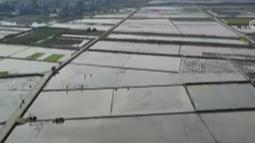 土地管理法修改，为集体建设性用地入市扫除障碍