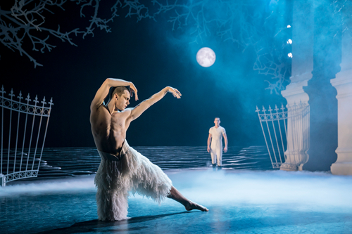 马修•伯恩巅峰之作《天鹅湖》将亮相哈尔滨大剧院