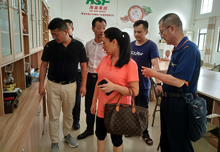 台湾农学专家到海垦大丰咖啡产业集团参观考察