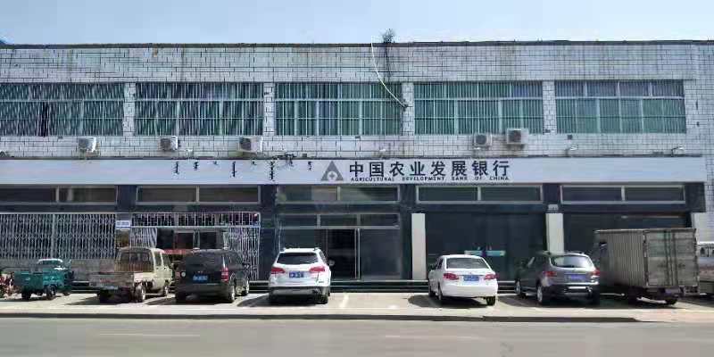 致伟大祖国的一封信