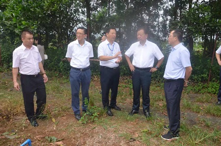 海南省检察院党组书记、检察长路志强到海南农垦南金农场公司调研指导工作