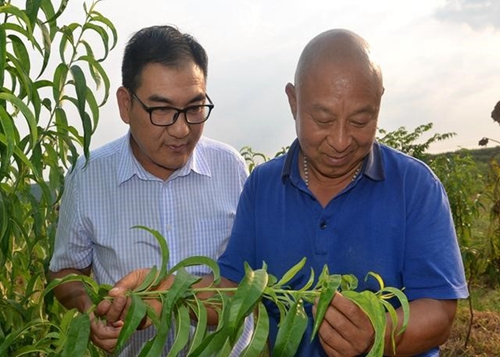 根所在 神向往 梦起航----洛阳衍祺一处魂牵梦绕的山水桃园