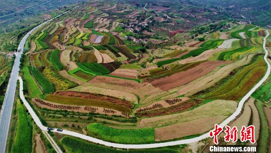 “苦脊甲天下”甘肃定西：产业兴旺不再“靠天吃饭”