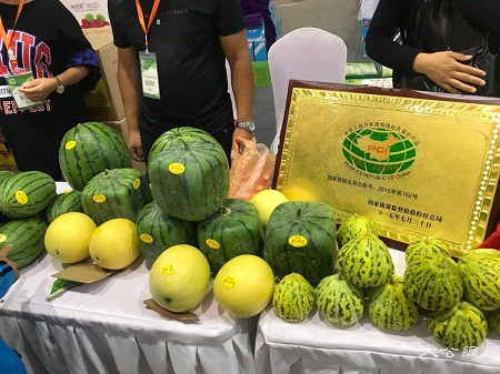 百位第一书记齐聚沈阳农博会 为“自家”农产品代言