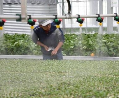 专家聚兰州新区把脉“数字农业”：“智推”西部农业提速增效