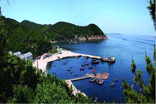 海螺业务难扛营收大旗  獐子岛透露毛利率大降