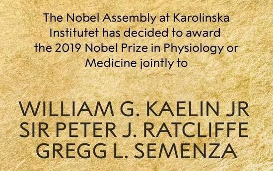 诺奖陆续揭晓:这些个股或沾光 一位中国作家成大热门