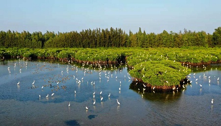 海南临高国庆“黄金周”旅游市场火爆 总收入达4944万元
