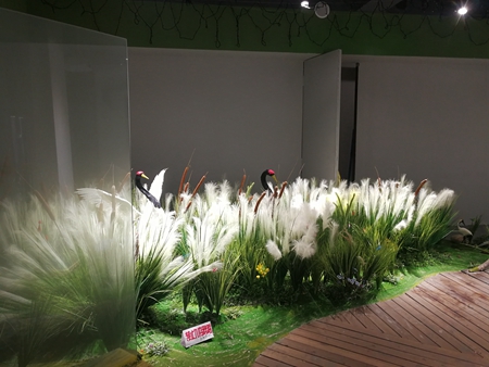 走进巴洛克 品味别样的林甸