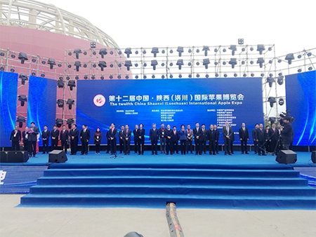 广西：大力发展&ldquo;生态水果&rdquo;产业 助推南北农产品产销对接