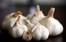 “蒜你狠”初露苗头 会否再现七年前大涨一幕