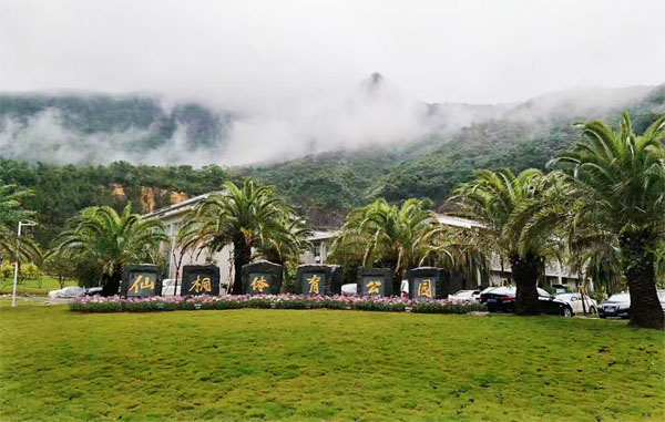 好评如潮！仙桐体育公园提升市民获得感