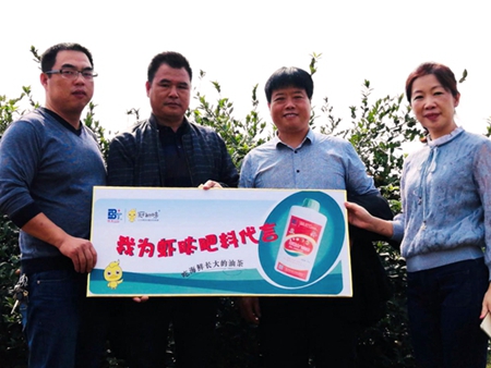 博泰公司&ldquo;虾肽&rdquo;油茶果喜获丰收